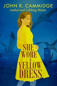 She Wore a Yellow Dress by John R. Cammidge