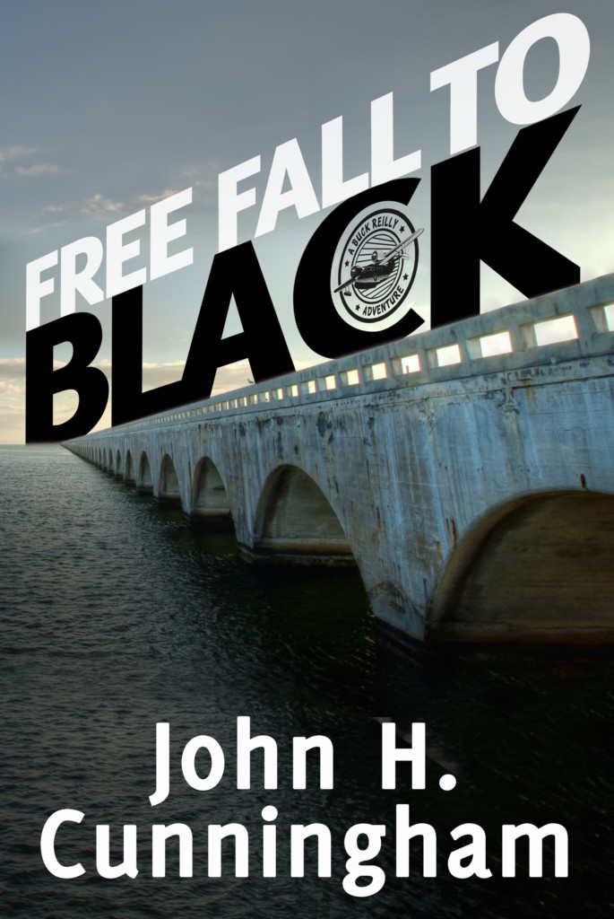 Free Fall to Black by John H. Cunningham