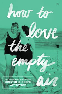 How To Love The Empty Air by Cristin O'Keefe Aptowicz
