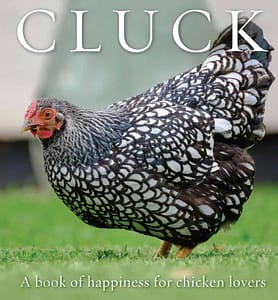 Cluck: Book of Happiness for Chicken Lovers by Freya Haanen